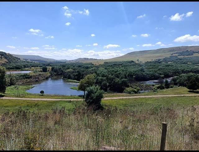 FARM FOR SALE IN MPOFANA